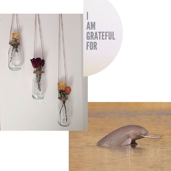 8 things We Are Thankful for 2020 - ocean+main