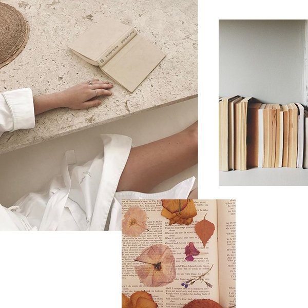 Our 11 Favorite Recent Reads - ocean+main