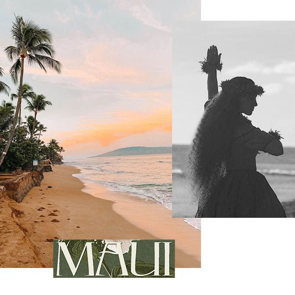 Support for Maui - ocean+main